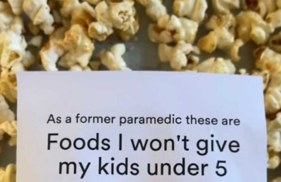 I'm an ex paramedic – five foods you shouldn't give kids under five including a popular treat… they're choking hazards | The Sun