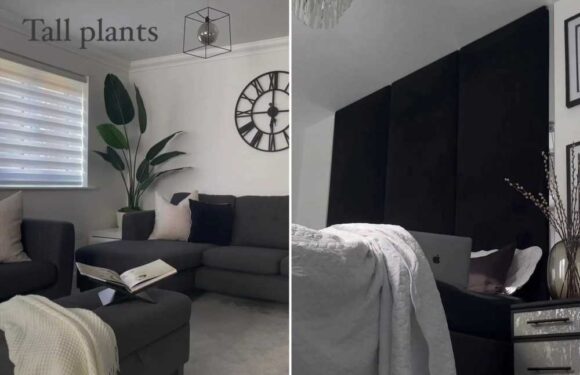 I’m an interiors whizz – 3 hacks to instantly make your home look bigger, including a £15 garden centre buy | The Sun