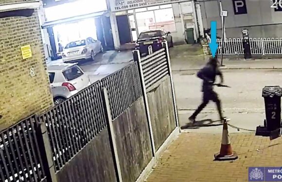 Inside London's knife crime capital Croydon after Elianne Andam tragedy – as thugs wield zombie knives 'long as arms' | The Sun