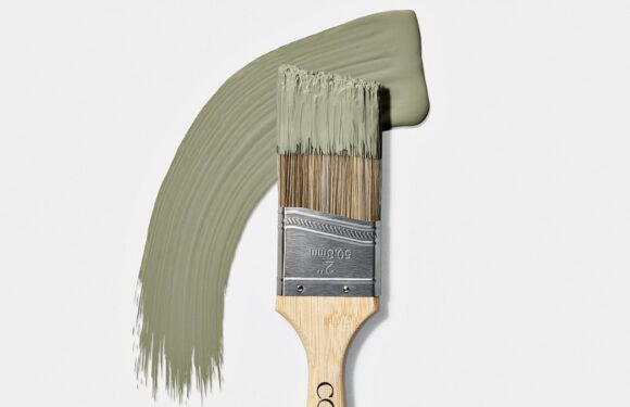 Interiors editor Nicole Gray challenges your home's eco credentials