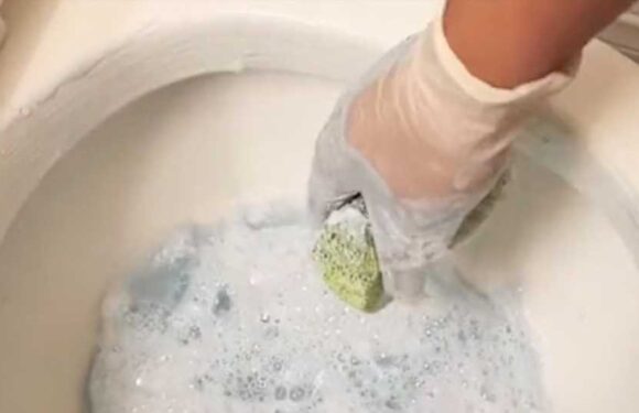 I'm a cleaning momma – my two-ingredient paste will get any toilet sparkling, I have a trick for making it go further | The Sun