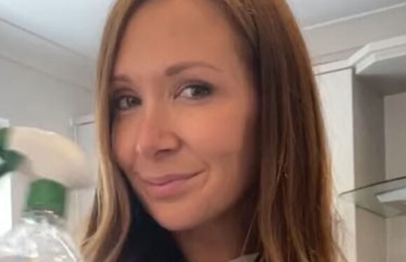 I'm a cleaning pro – 3 cheap ways to make your home smell amazing, my DIY bed deodorizer is just 2 ingredients | The Sun