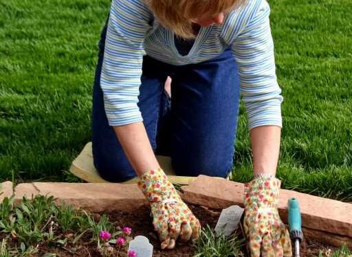 I'm a gardening expert, here’s the best way to get rid of weeds – and your soil will be healthier too | The Sun