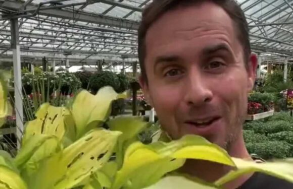 I'm a gardening pro & this week is when you should be buying new plants – here's what to look for to save yourself money | The Sun