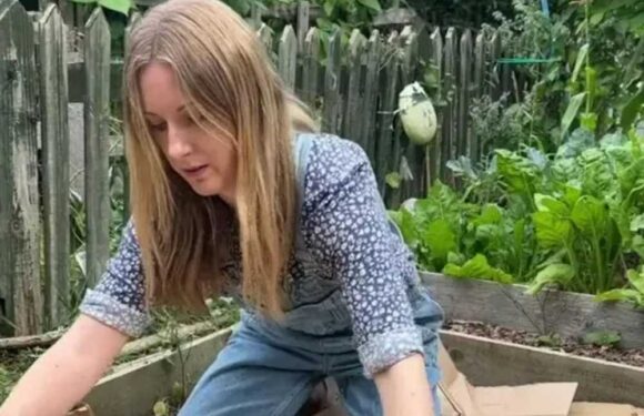 I'm a gardening whizz & my clever cardboard trick helps to repress weeds in an instant – plus it’s totally free | The Sun