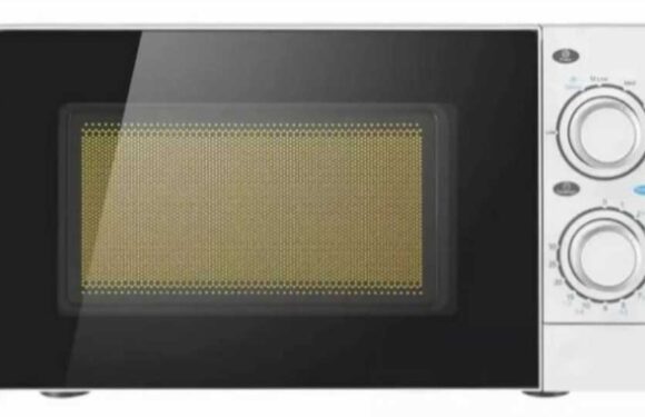 I'm a money-saving pro – six bargain buys that rival high end versions including a vac that's like Shark but £43 cheaper | The Sun