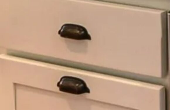 I'm a professional cleaner, five things I'd never put in my house – a certain type of kitchen handle is so unhygienic | The Sun