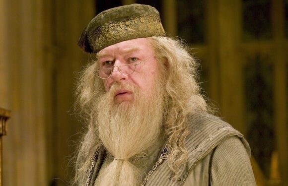 JK Rowling and Rupert Grint lead Harry Potter cast remembering Michael Gambon