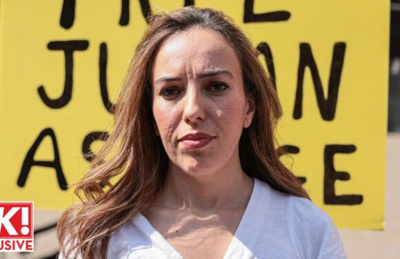 Julian Assange’s wife Stella: ‘I tell our sons I’ll save daddy – he’s facing 175 years’