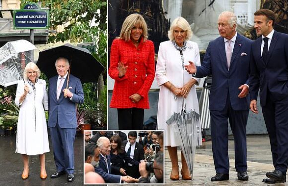 King Charles visits Parisian flower market named after his mother