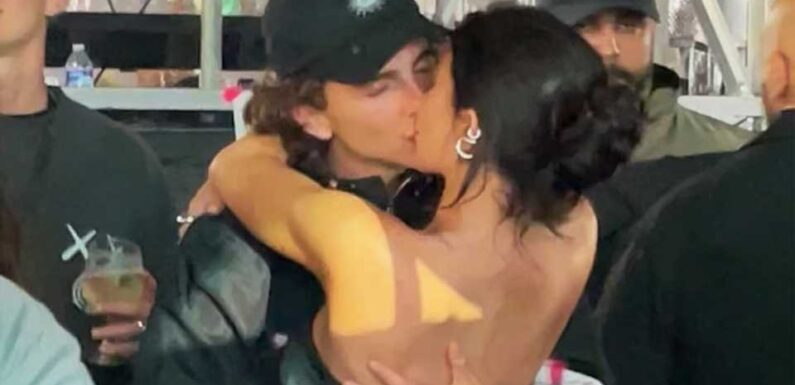Kylie Jenner’s boyfriend Timothee Chalamet ‘will not appear’ on Kardashians Hulu reality show and she ‘does not mind’ | The Sun