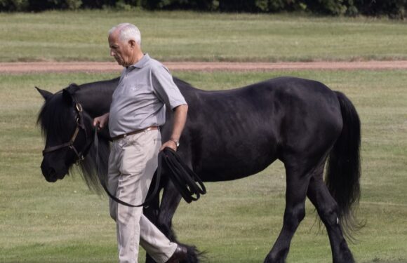 Late Queen's head groom leads her favourite horse out in Windsor
