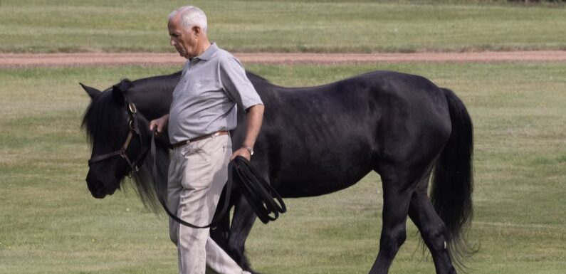Late Queen's head groom leads her favourite horse out in Windsor