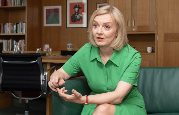 Liz Truss calls for ban on new petrol car sales by 2030 to be delayed
