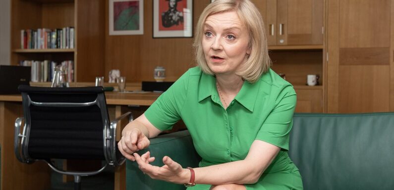 Liz Truss calls for ban on new petrol car sales by 2030 to be delayed