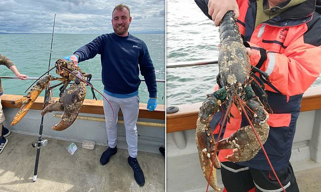 Lucky lobster is saved from the pot for SECOND time