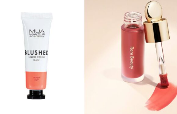 Makeup fans go wild for £3 Rare Beauty blush dupe | The Sun