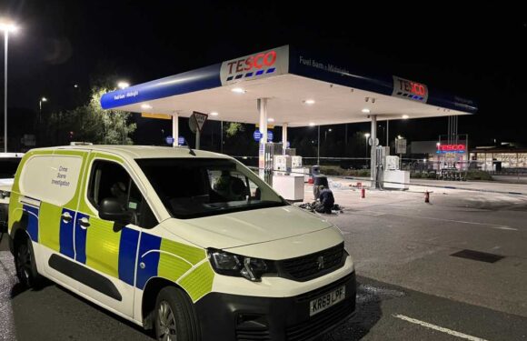 Man dies after catching on fire at Tesco petrol station before hero rushed to save him | The Sun