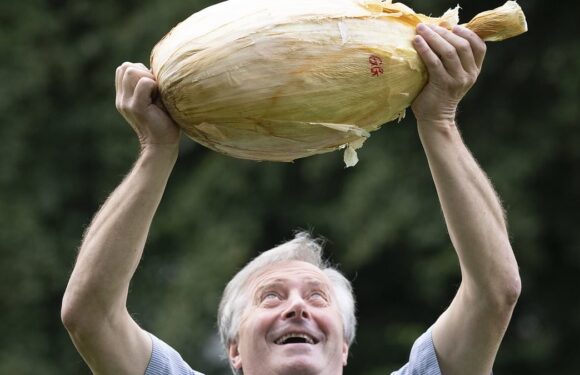 Man shows off world record-breaking 9kg onion after winning top prize