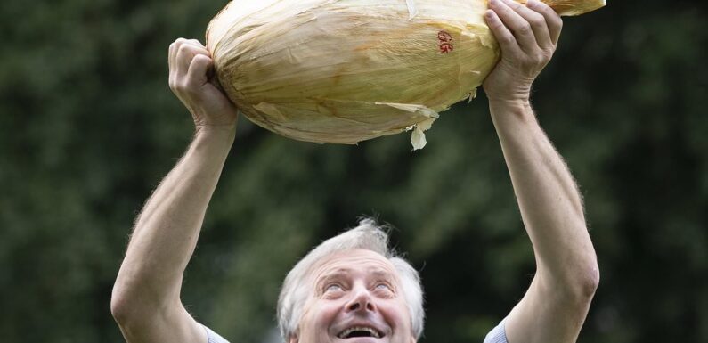 Man shows off world record-breaking 9kg onion after winning top prize