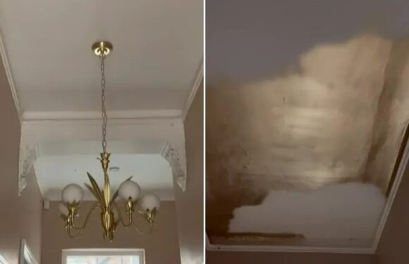 Man transforms home with £3 Paint Factory spray – but is it a total disaster? | The Sun