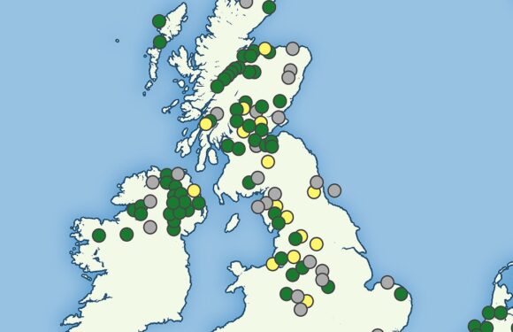 Map shows spread of toxic green algae that can kill dogs in 24 hours