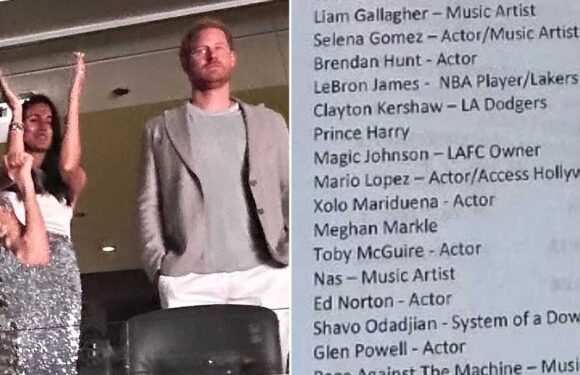 Meghan Markle and Prince Harry's job titles are left blank on VIP guest list | The Sun