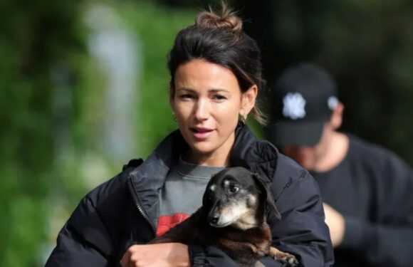 Michelle Keegan looks amazing as she goes make-up free in leggings while cradling dog in the street | The Sun