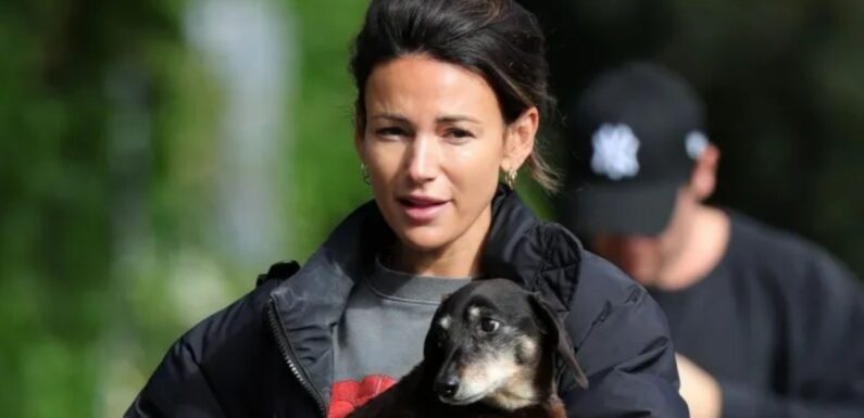 Michelle Keegan looks amazing as she goes make-up free in leggings while cradling dog in the street | The Sun