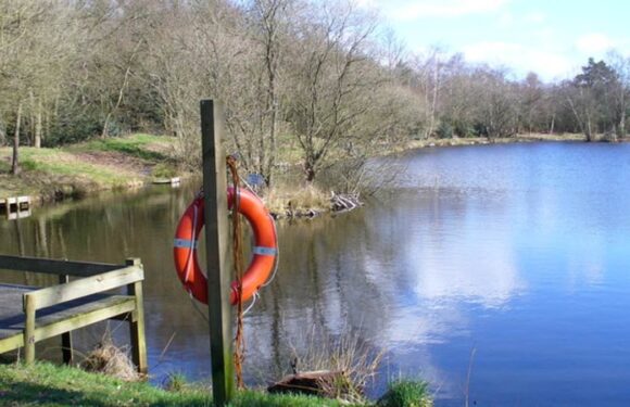 Missing girl, two, in 'serious condition' after being found near pond