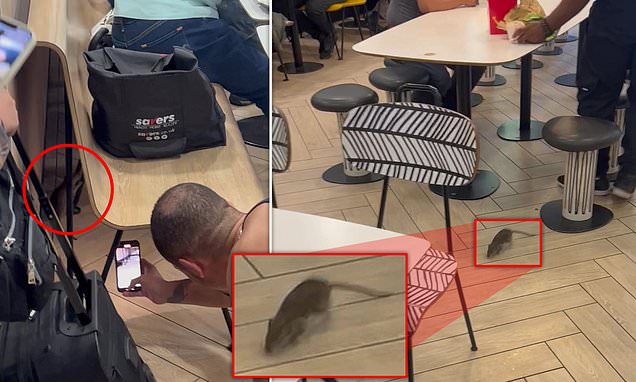 Moment giant RAT the 'size of a foot' scuttles around McDonald's
