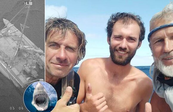 Moment sailors rescued from boat after shark attack in Queensland