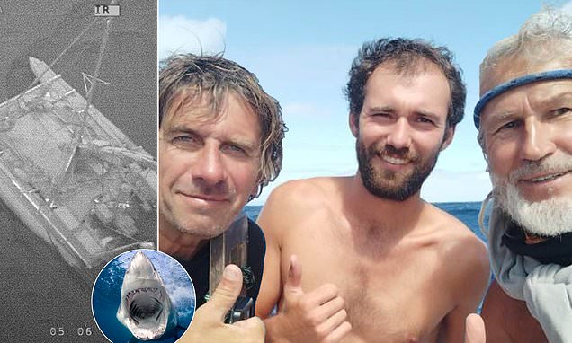 Moment sailors rescued from boat after shark attack in Queensland