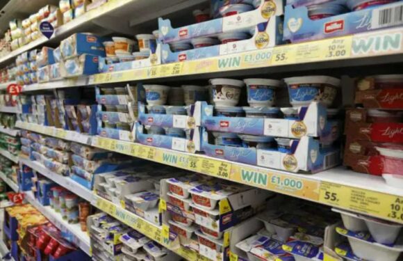 Muller brings back another discontinued fan favourite yoghurt flavour from the 90s | The Sun