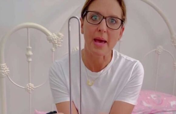 Mum shares genius hack to keep all her daughter's scrunchies in one place, and it'll only cost you £1.50 | The Sun