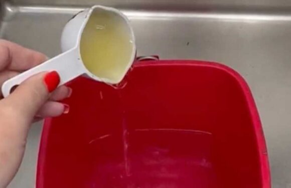 My 2-ingredient cleaning solution is a sure way to make your home smell fresh – your wood and nose will both be happy | The Sun