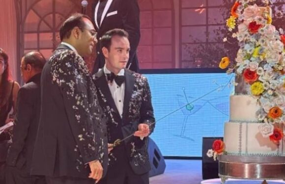 My Big Fat Indian Wedding! Billionaire's nephew weds painter's son