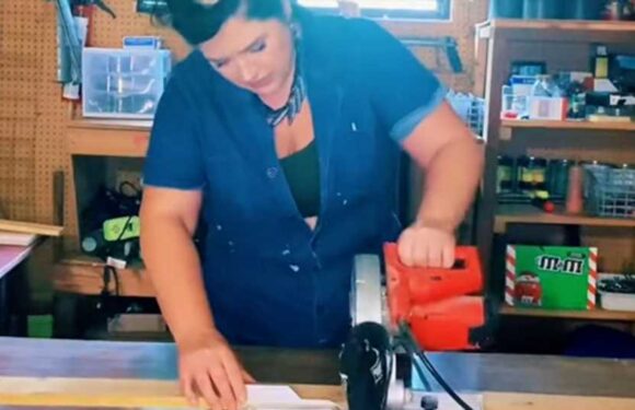 My DIY privacy fence uses waste wood – it's cheap, easy, and makes your home look like a million bucks | The Sun