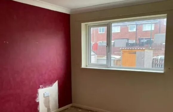 My kid’s council house bedroom had peeling wallpaper & cracked floor – I gave it a mega glow up with Amazon & Etsy buys | The Sun