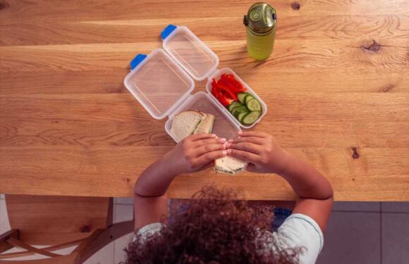 My kids shame me for their pack lunches – I'd rather send them to school dirty than give them treats | The Sun