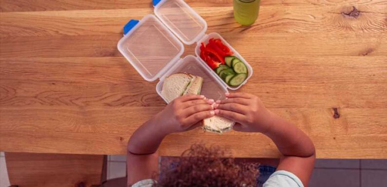 My kids shame me for their pack lunches – I'd rather send them to school dirty than give them treats | The Sun