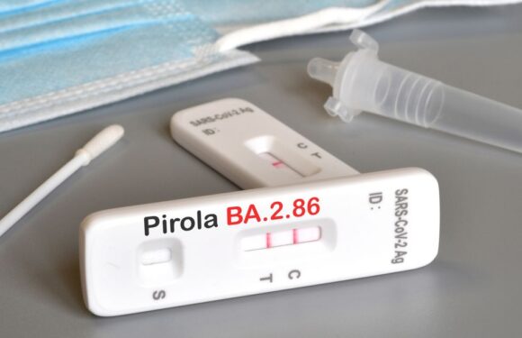 New Covid variant Pirola warning as ‘spreading’ outbreak confirmed at care home