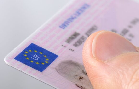 New EU driving licence rule change could impact millions of Brit motorists