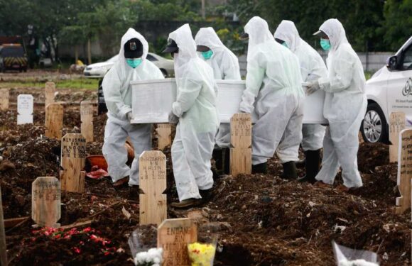 Next pandemic may kill 50m like Spanish flu – and be sparked by a MILLION unknown viruses, warn experts | The Sun