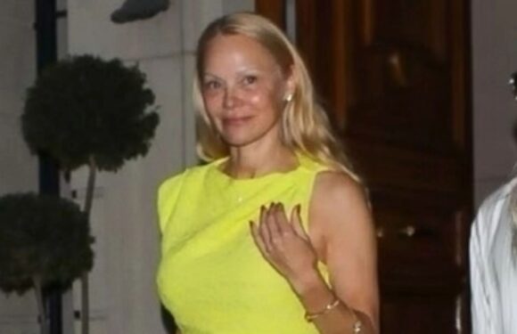 Nineties TV megastar unrecognisable in bright yellow dress as she parties 22 years after iconic show was cancelled | The Sun