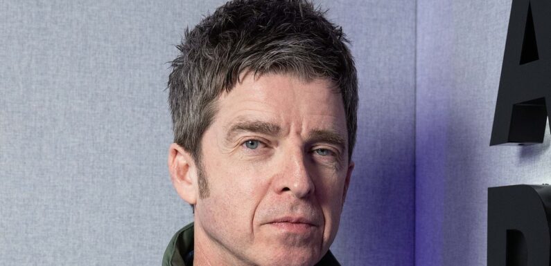 Noel Gallagher handed 6-month driving ban despite never having licence