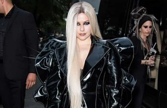 Noughties pop legend branded unrecognisable by fans as she shows off new look at fashion show | The Sun