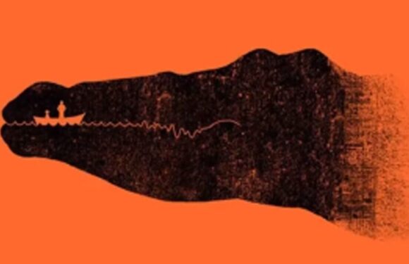 Optical Illusion shows if you a very kind or more of a loner with friends