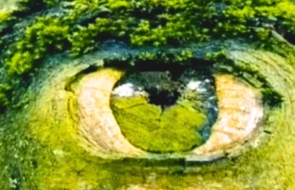 Optical illusion shows a persons deepest insecurities