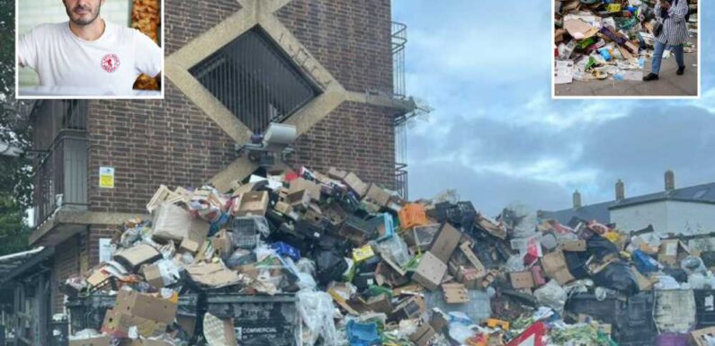 Our iconic streets are covered in 6ft towers of rubbish – huge rats run ...